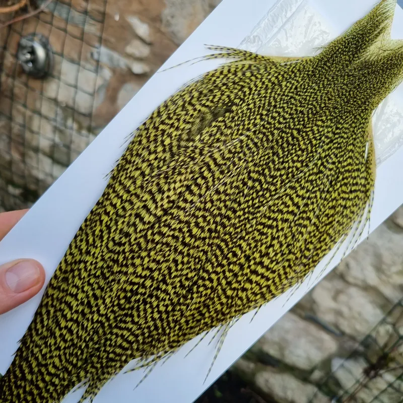 Whiting High and Dry Rooster Cape in Grizzly in Olive-4